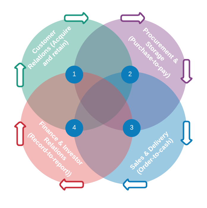 Business Processing, Sales, Customer Relations, Procurement and Financial Reporting